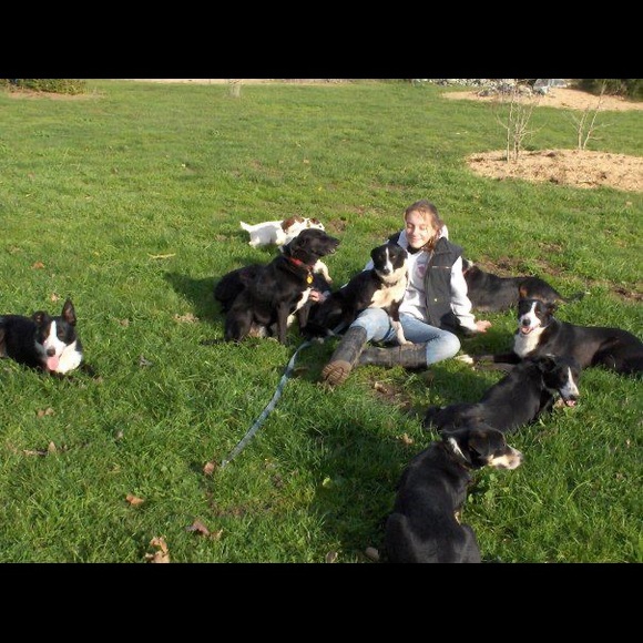 Meet your Posher, Leyla - Picture 1 of 1